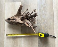 Dry forest root for sale  LONDON