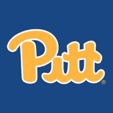 Pitt panthers alumni for sale  Nesquehoning