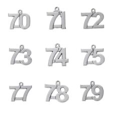 Usado, Dijes con números de metal colgantes de astillas para collar fabricación de joyas fecha aniversario segunda mano  Embacar hacia Argentina
