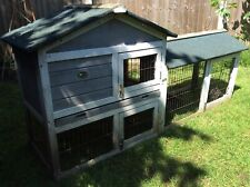 Eggshell guinea pig for sale  WELWYN GARDEN CITY