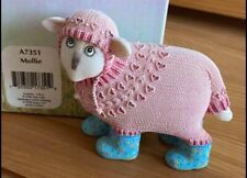 Ewe sheep mollie for sale  HALESOWEN
