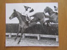 Horse racing photograph for sale  WALLASEY