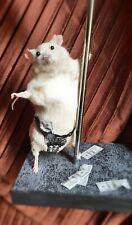 Taxidermy mouse stripper for sale  STOCKTON-ON-TEES