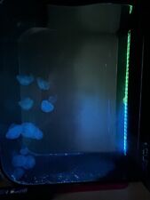 Jellyfish aquarium tank for sale  EXETER