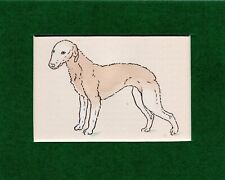 Bedlington terrier hand for sale  SPALDING