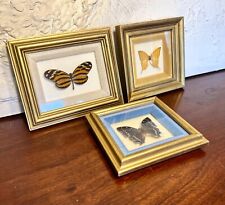 Vtg framed butterfly for sale  Boulder