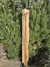 87cm long driftwood for sale  BRAINTREE
