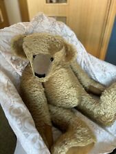Beautiful huge teddy for sale  DURHAM