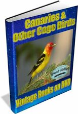 Canaries cage birds for sale  WEST BROMWICH