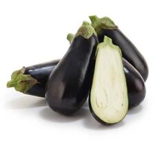 Eggplant black beauty for sale  Etowah