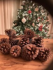 Pine cones extra for sale  UK