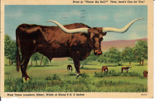 Texas longhorn throw for sale  Baton Rouge
