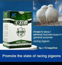Racing pigeon moulting for sale  Shipping to Ireland