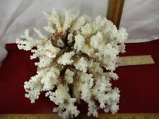 coral pieces decoration for sale  Houston