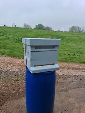 Poly bee hives for sale  CHELTENHAM