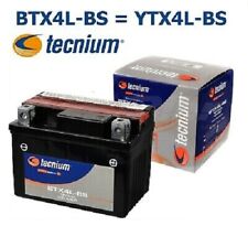 Batteria tecnium btx4l usato  Italia