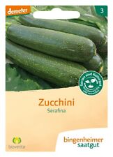 Bingenheimer saatgut zucchini gebraucht kaufen  Pirna, Dohma, Struppen