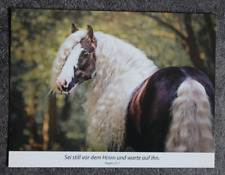 Postkarte schwarzwälder kaltb gebraucht kaufen  Limburg