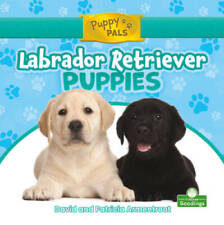 Labrador retriever puppies for sale  Montgomery