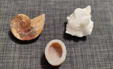 Bergkristall ammonit achat gebraucht kaufen  Herten-Westerholt