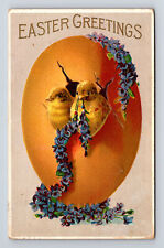 Easter greetings chicks for sale  USA