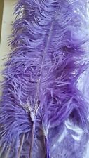 Large ostrich feathers for sale  WAKEFIELD