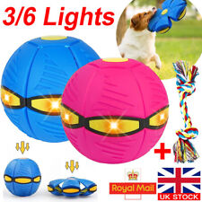 Lights pet toy for sale  LEICESTER