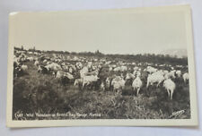 Vintage rppc postcard for sale  Longmont