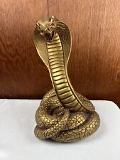 King cobra snake for sale  Norristown