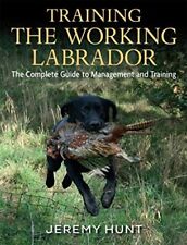 Training working labrador for sale  UK