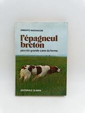 Epagneul breton marangoni usato  Jesolo
