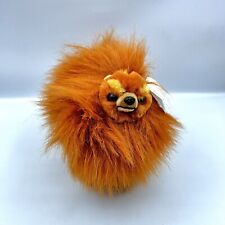 Pomeranian dream play for sale  Front Royal