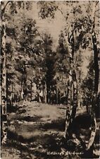 RUSSIAN ART SHISHKIN IN THE FOREST ARTIST SIGNED PC (a44371), used for sale  Shipping to South Africa