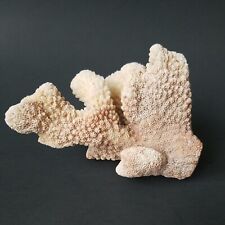 Natural real coral for sale  Walnut Creek
