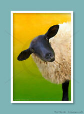 Suffolk ewe artwork for sale  MARYPORT