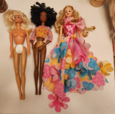 Barbie dolls lot for sale  Saint Cloud