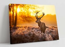 Stag large canvas for sale  LONDONDERRY