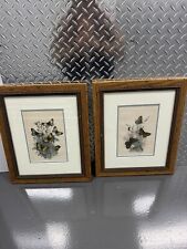 Set framed butterfly for sale  West Harrison