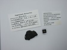 Berduc meteorite 10.4 for sale  Bisbee