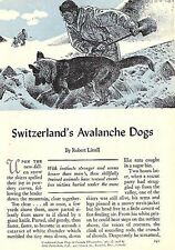 SWISS AVALANCHE DOGS 1956 FEATURE & ART GERMAN SHEPHERD SNOW DOGS OF SWITZERLAND for sale  Shipping to South Africa