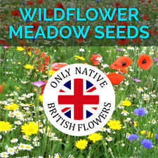 Wildflower seeds wild for sale  SELBY