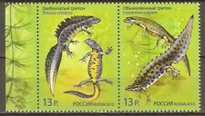 Rusia 2012 MiNr. 1831 - 1832 Rusia Anfibios Newt 2 v Estampillada sin montar o nunca montada** 3,00 € segunda mano  Embacar hacia Argentina