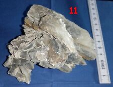 Minerali gesso punta usato  Torino