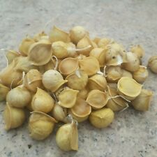 Elephant garlic bulbils for sale  Ireland
