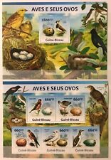 Guiné-Bissau - Aves e Seus Ovos / Pássaros em selos /Timbres - MNH ** YN, usado comprar usado  Enviando para Brazil