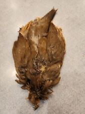 Wa31 valley quail for sale  Hinton