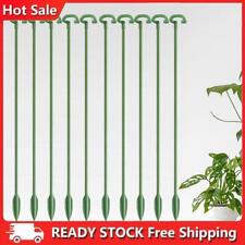 Plant support stake for sale  Shipping to Ireland