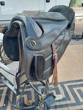 Treeless saddle for sale  Colorado Springs