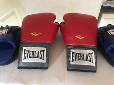 Everlast 16oz boxing for sale  DUNSTABLE