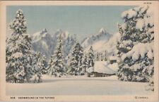 Snowbound tetons winter for sale  Lakeside
